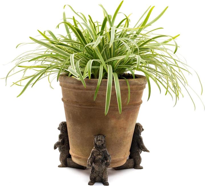Actual product image Jardinopia Plant Pot Feet Potty Feet Grizzly Bear, Set of 3