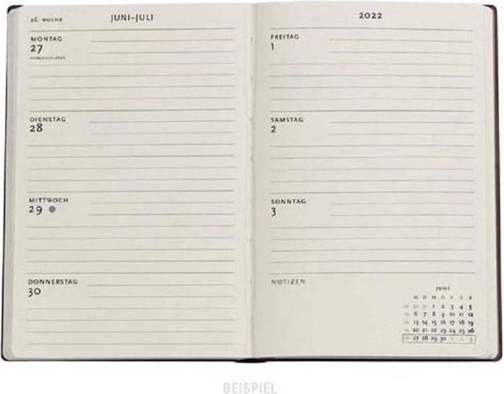 Actual product image Paperblanks Weekly agenda Midi 2024 / 2025 Asterix & Obelix (13 x 18 cm, 1 week / 1 page)