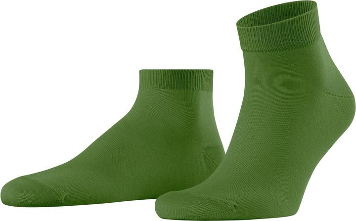 fir green
