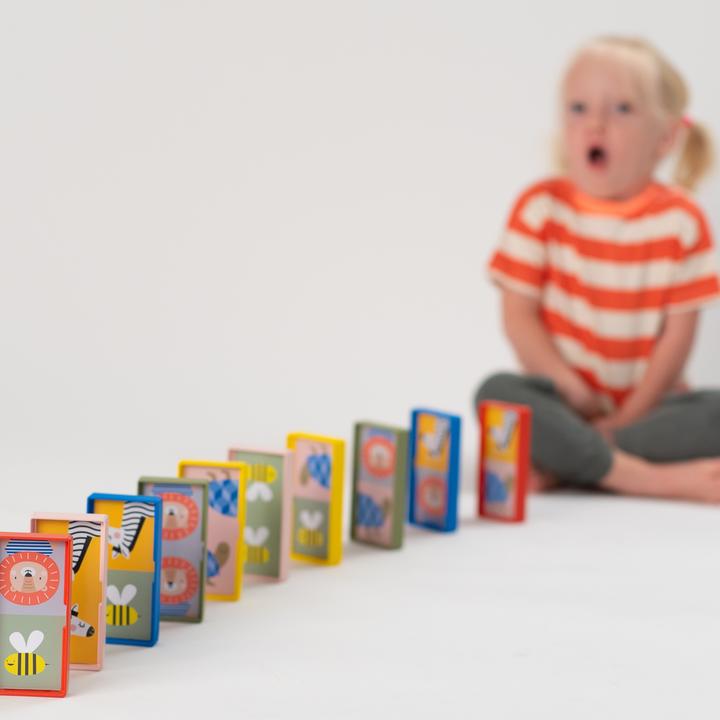 Image du produit Taf Toys Mon premier jeu domino