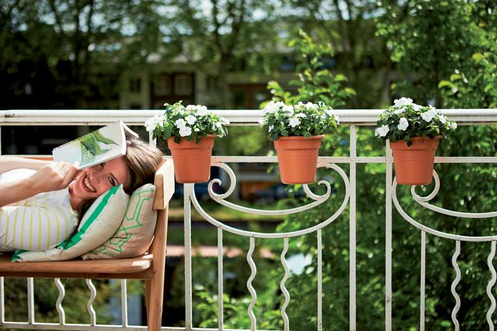 Actual product image Elho Green Basics Easy Hanger S (18 x 25.70 cm)