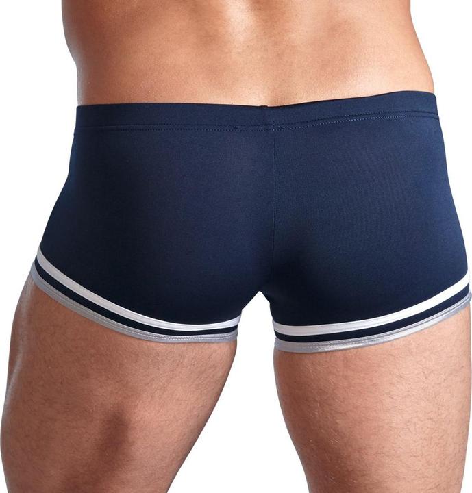 Actual product image Svenjoyment Herren-Hosen (L)