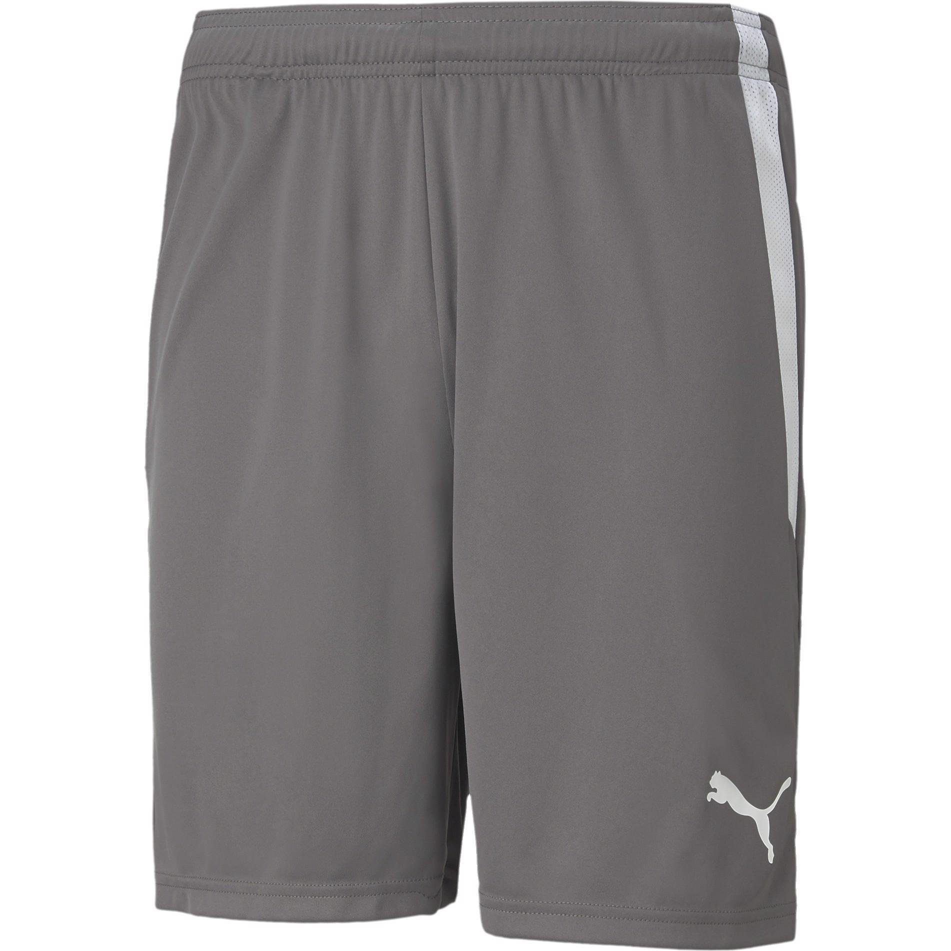 Puma, Herren, Sporthose, teamLIGA Shorts-704924 (XXL), Grau, XXL