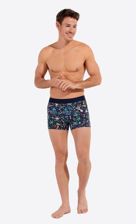 Produktbild HOM Retro Boxer Cactée (L, Einzelpack)