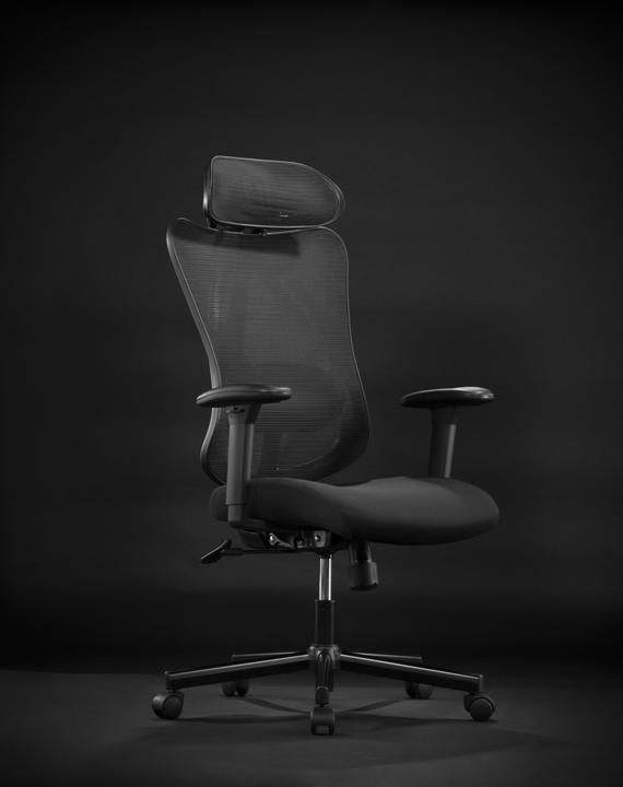 Immagine prodotto Ergowork Lumbacker