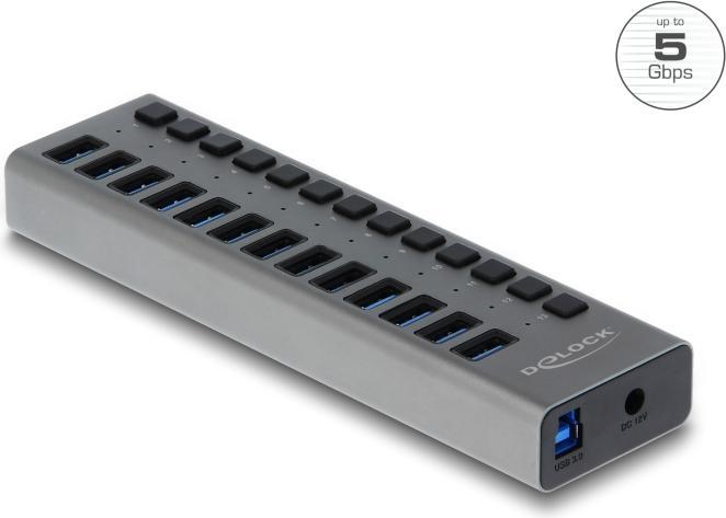 Produktbild Delock Externer SuperSpeed (USB-B, 13 Ports)