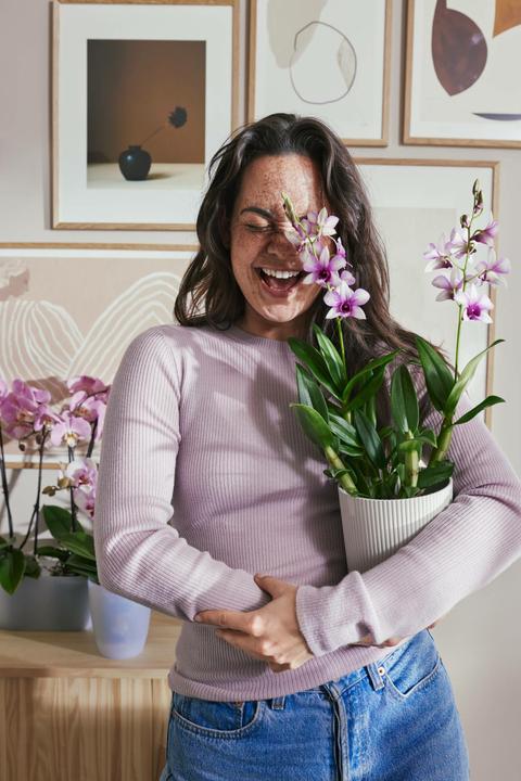 Actual product image Elho Vibes Fold Orchid (13.20 cm)