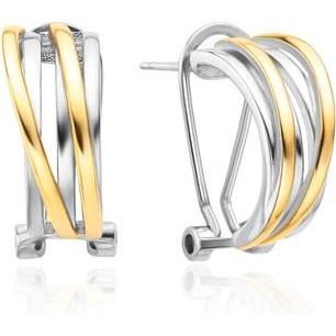 Agato, Ohrringe, - Elegant bicolor earrings with zircons AGT-E122KK-2T