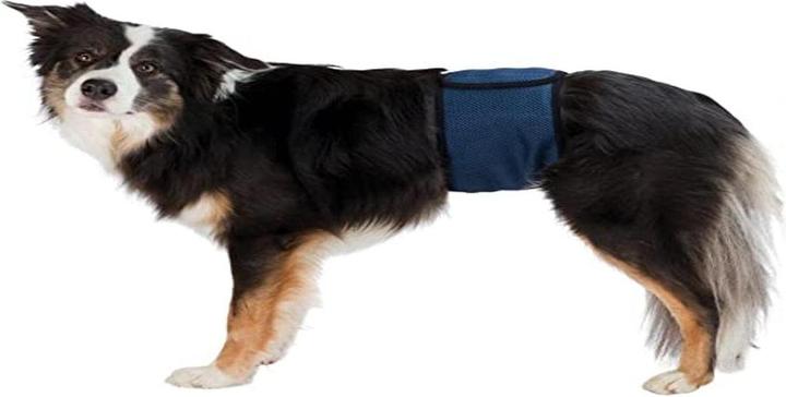 Immagine prodotto Trixie Bendaggio maschile S-M 37-45cm (Cane)