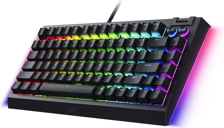 Produktbild Razer BlackWidow V4 (US, Kabelgebunden)