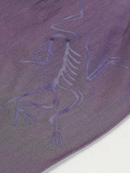 Immagine prodotto Arc'teryx Satoro Merino Toque