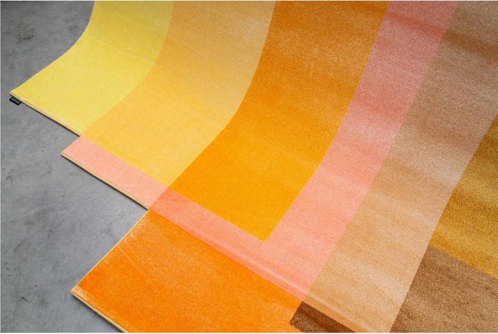 Actual product image Moooi Blended 5 Colours carpet (310 x 350 cm)