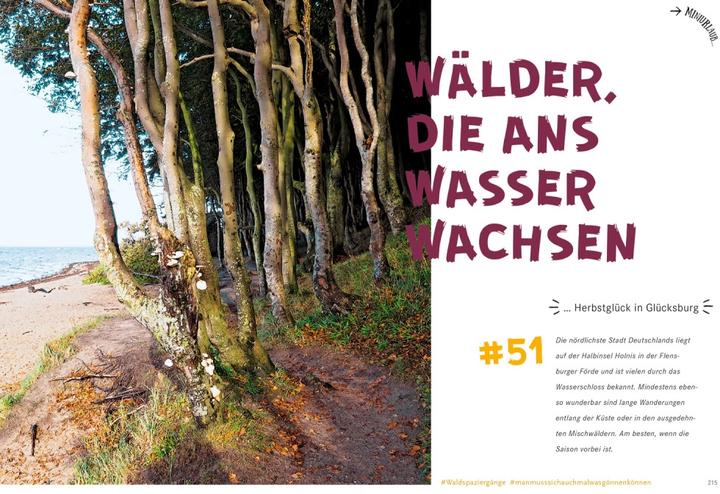 Produktbild 52 kleine und grosse Eskapaden rund um Schleswig-Holstein (Deutsch, Stefanie Sohr, 2021)