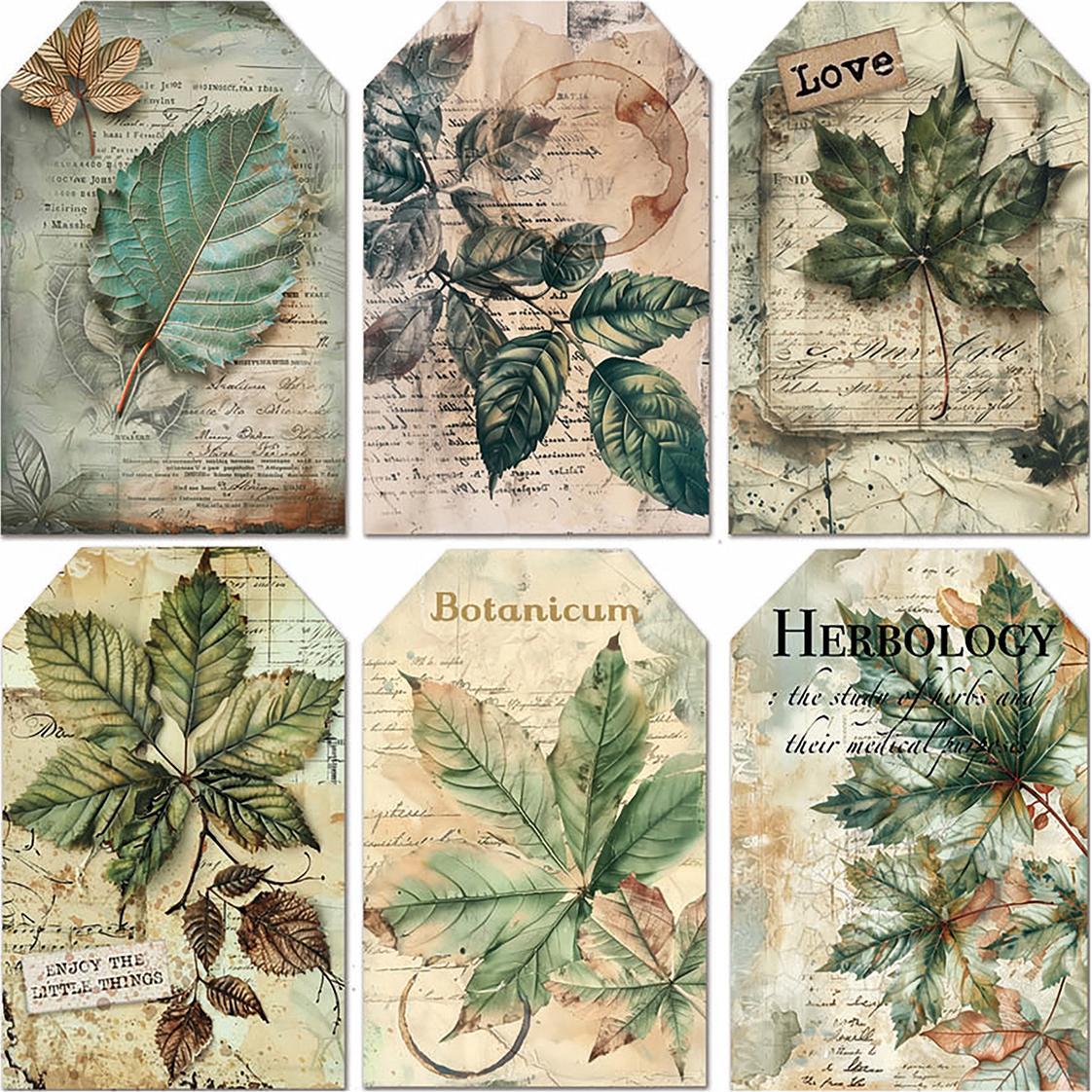 Cabinet Of Curiosities Motivpapier A4 - 9 Blatt Für Scrapbooking