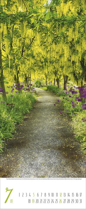Produktbild Zauberhafte Wege 2026 (28.5 x 69 cm, Harter Einband, Deutsch)