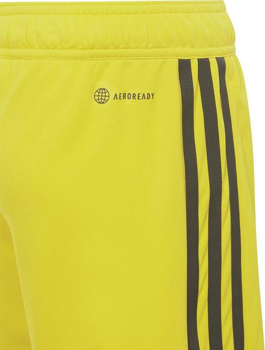 Produktbild adidas Tiro 23 Trainingsshorts Kinder (176)