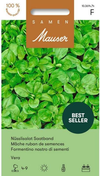 Samen Mauser Sweet Salad Vera Seed Ribbon (Vegetable seeds)