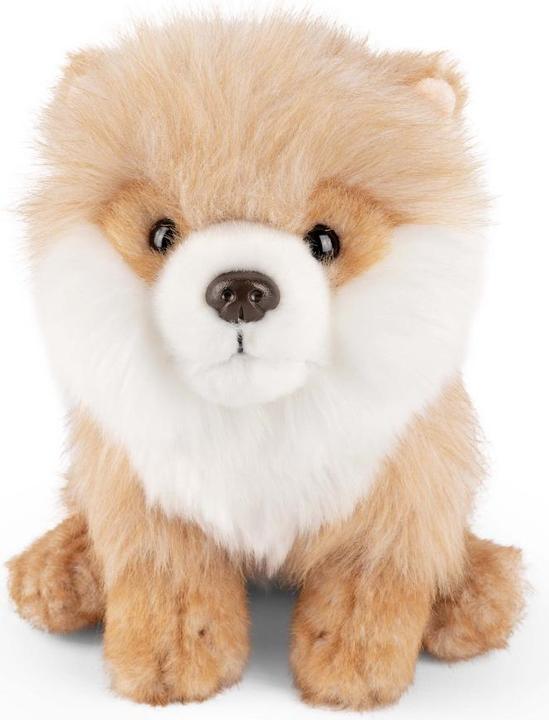 Image du produit Living Nature Spitz nain