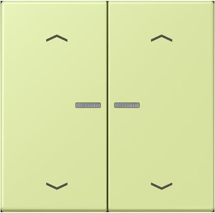 Actual product image JUNG BTLC17102P222 HOME push button