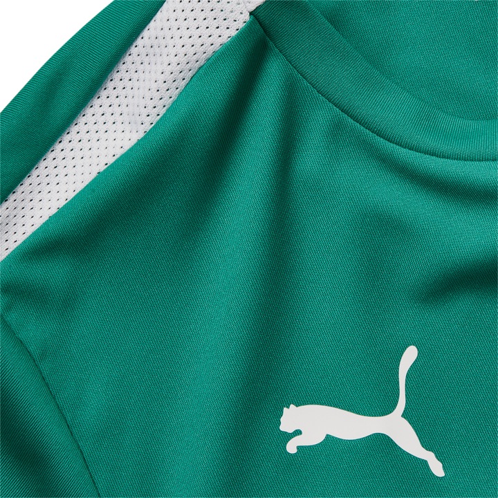 Image du produit Puma Maillot teamLIGA Jr-704925 (152)