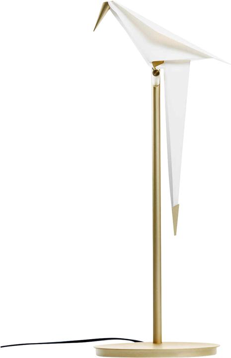 Actual product image Moooi Perch Light Table Table Lamp