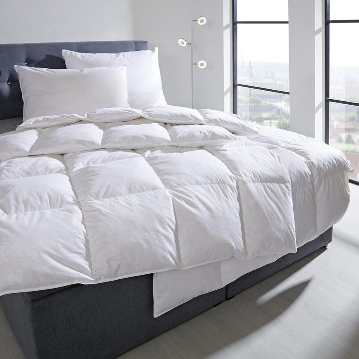 Image du produit Lipo Richard (Duvet, 200 x 210 cm)