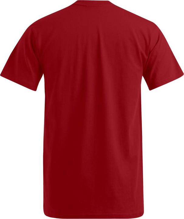 Produktbild Promodoro Premium V-Neck-T (M)