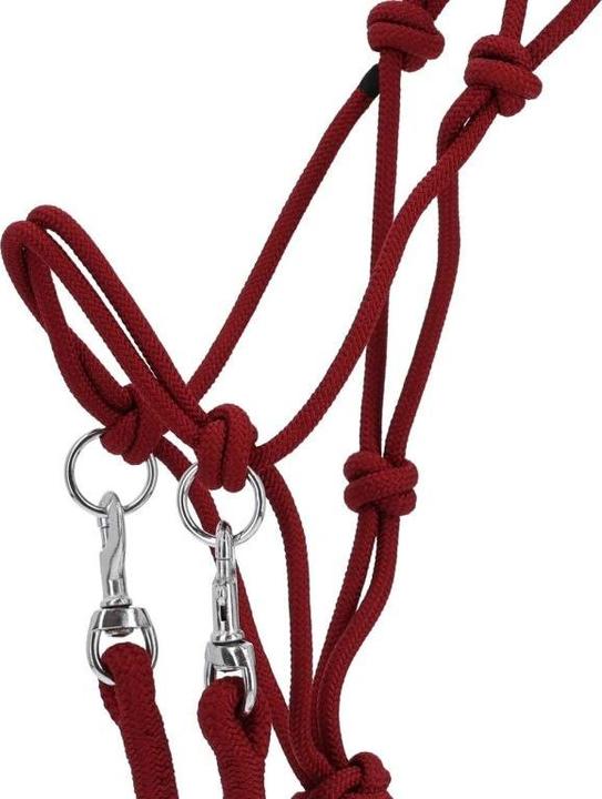 Image du produit Qhp Licol en corde avec rênes pour cheval