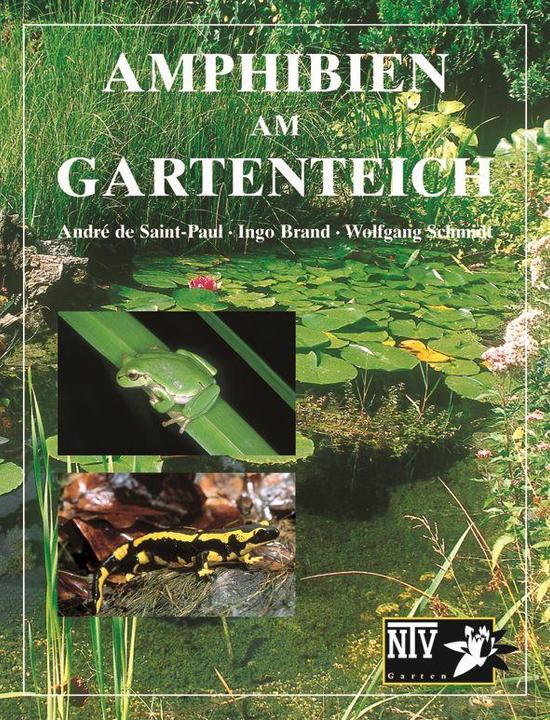 Produktbild Amphibien am Gartenteich (Deutsch, Wolfgang Schmidt, 2001)