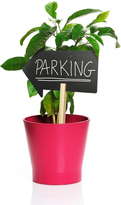 Image du produit Securit Silhouette Stick (2 cm, 49.20 cm)