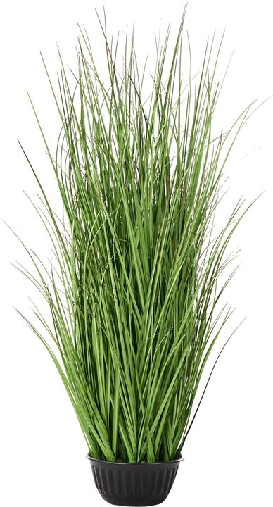Image du produit Beliani Grass (120 cm)