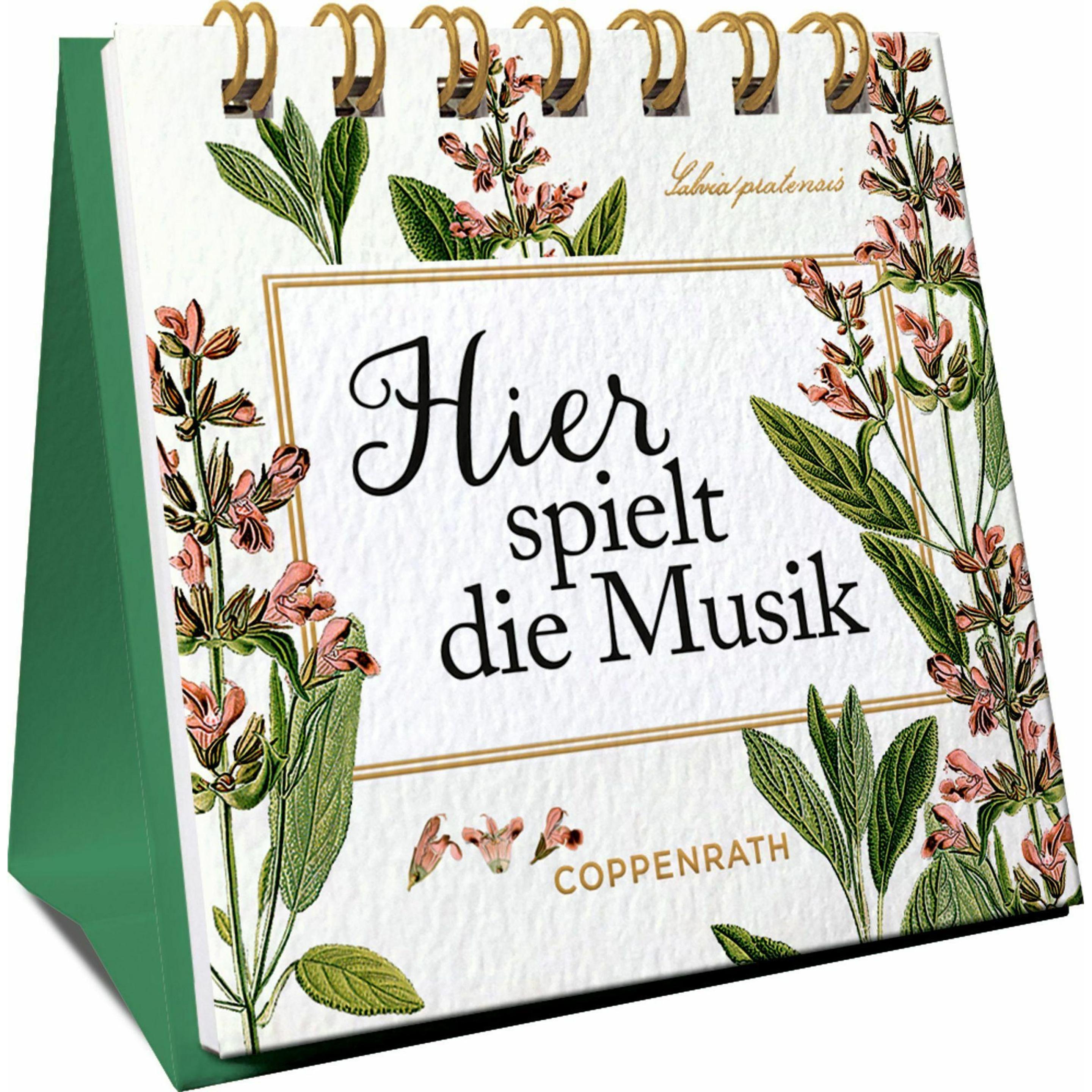 Thumbnail - Hier spielt die Musik, Belletristik