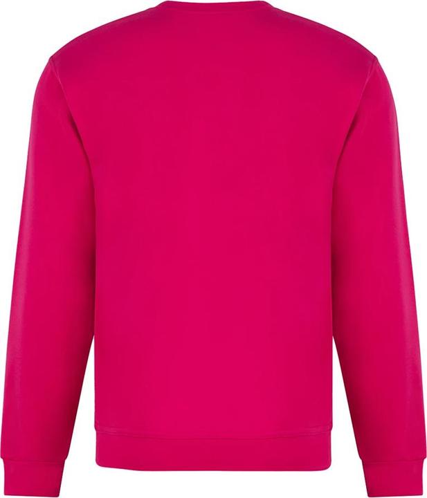 Produktbild Prortx Pro Sweatshirt (M)