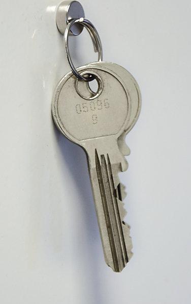 Actual product image Maul Magnet (10 x)