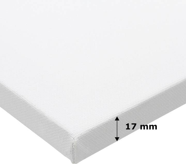 Image du produit Paintersisters Châssis Eco 30x30 cm (30 x 30 cm)