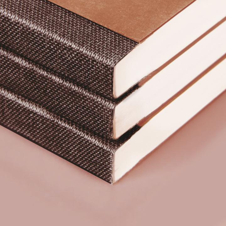 Actual product image Brunnen Notebook FACT!plus DIN A4 dot grid, light brown soft cover 192 pages (A4, Dotted, Hardcover)