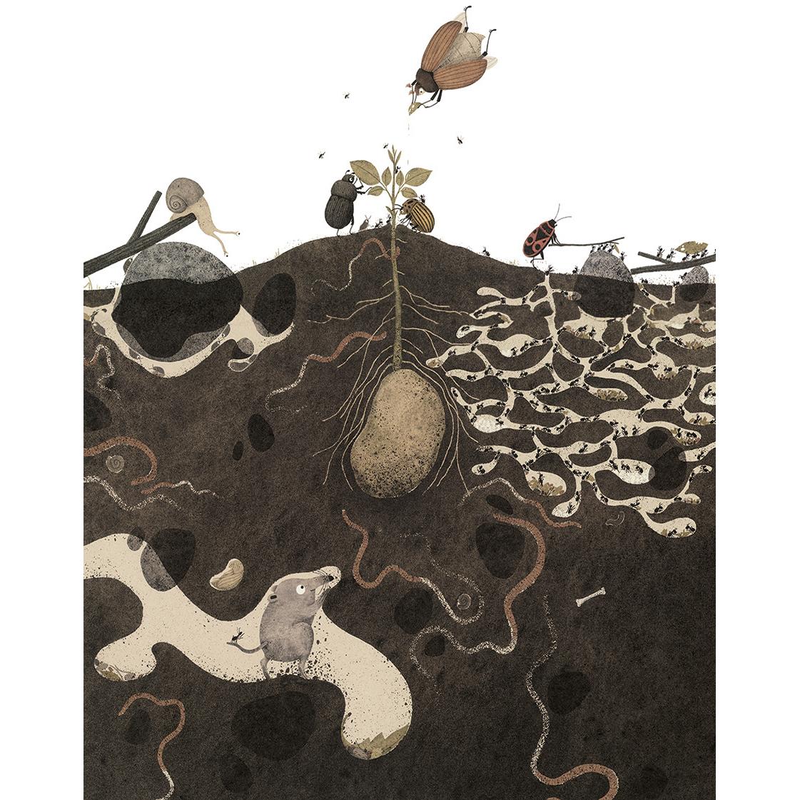 Da wächst doch was!, Kinderbücher von JuLi Litkei