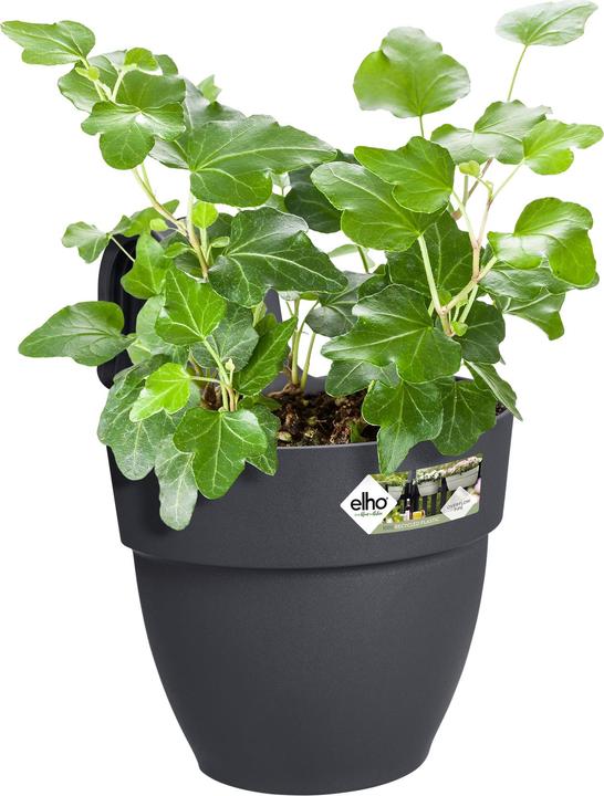 Produktbild Elho Blumenschale (24 cm)