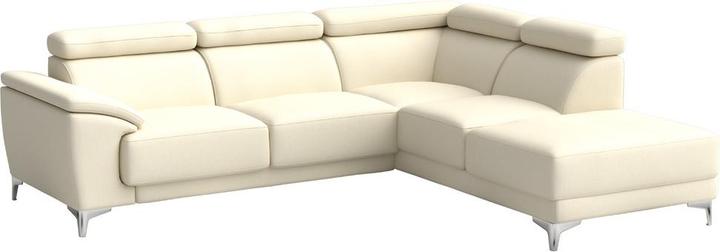 Cat. 6, Florida Beige