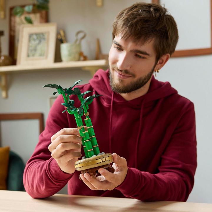 Immagine prodotto LEGO Glücks-Bambus (10344, LEGO Botanical)