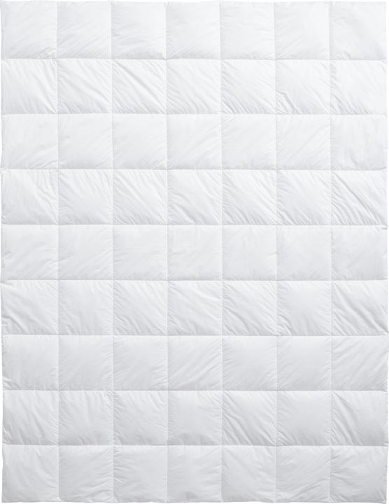 Produktbild Billerbeck Climacontrol (300 g, 200 x 210 cm)