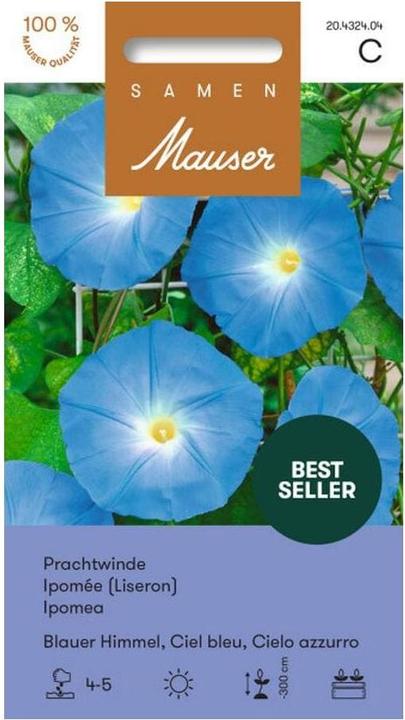 Samen Mauser Prunkwinde Blauer Himmel (Pflanzensamen)