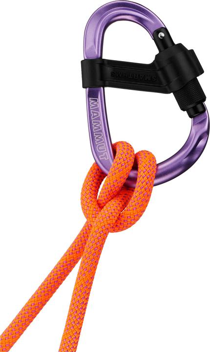 Produktbild Mammut Smart HMS 2.0