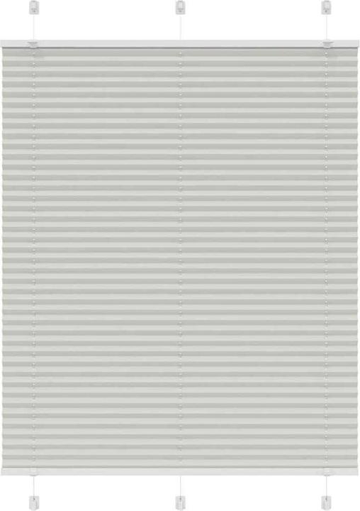 Image du produit vidaXL Plissee (110 x 150 cm)