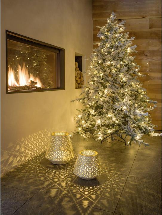 Actual product image STT Nova tree, 23