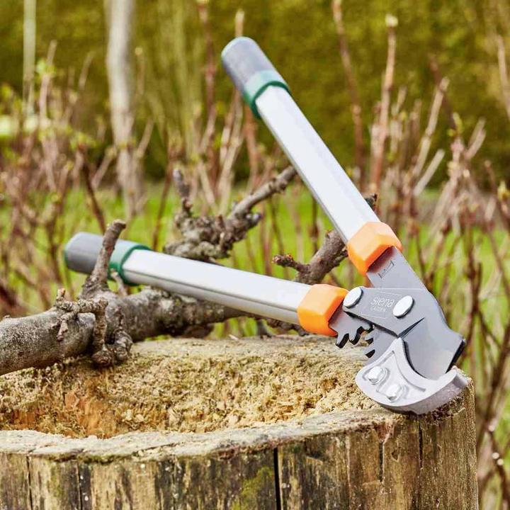 Actual product image Siena Garden pruning shears