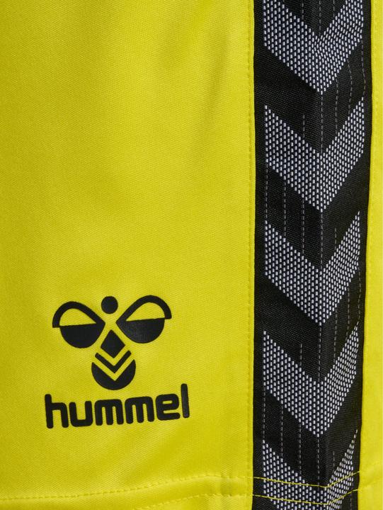 Image du produit hummel Hmlauthentic Pl Shorts (3XL)