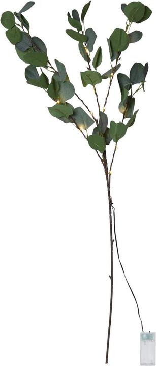 Actual product image Star Trading Garland eucalyptus (0.30 m)