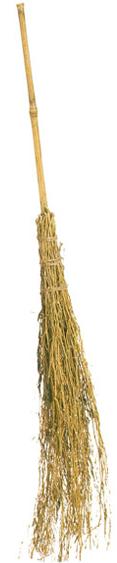 Produktbild Fries Hexenbesen, Reisig hell