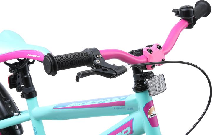 Actual product image Bikestar Urban Jungle (18")